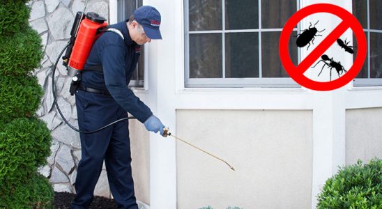 Pülümür Böcek İlaçlama böcek ilaçlama ve haşere kontrolü — ilaclama-tr.com